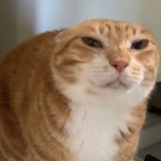 �����, 19 ���, ������