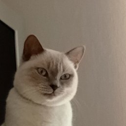 ���� ����, ������, 43 ���� - ��������� 5 ����� 2026