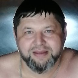 �������, ������, 46 ���