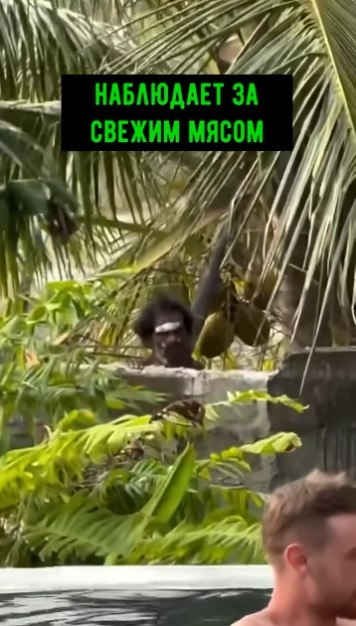 ���� �� ���������, � ��������! �� �� ������� ����������� ������� �� ������� ����� � ��������� �� ... - 2