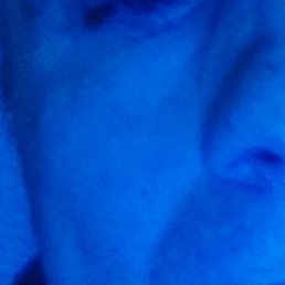 �����, ����, 41 ���