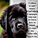 ���� �����, ������ ��������, 56 ��� - ��������� 8 ������ 2026 � ������ ���� ����������