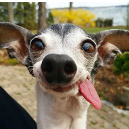 ������, ������, 22 ����