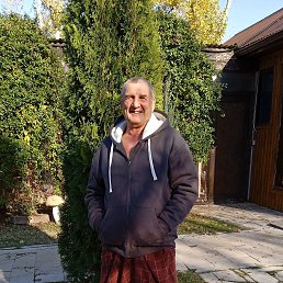 , 66 , 