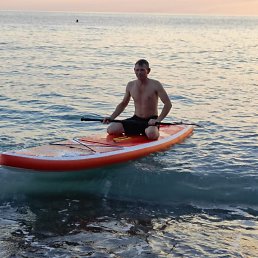 ����, 41 ���, ���������