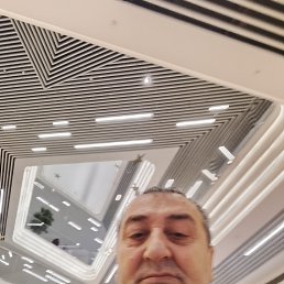 , 51, 