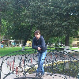 ����, 41 ���, ������