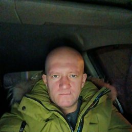 ����, 41 ���, ������