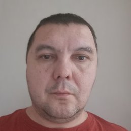 �����, ������, 41 ���