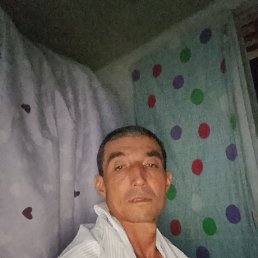 , 34, 