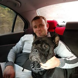 ���� �������, �����-���������, 42 ���� - ��������� 29 ������ 2024