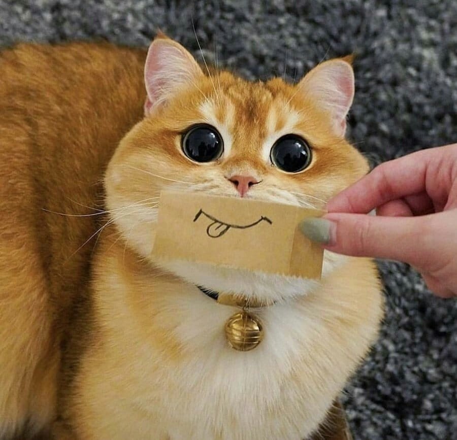        - 3