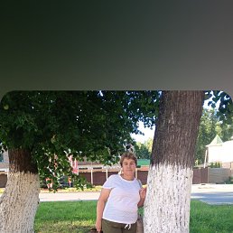 , 52, 