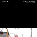 ���� ������, �������, 50 ��� - ��������� 13 ������� 2023 � ������ ���� ����������