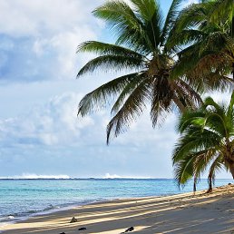 �����, �����������, 31 ���