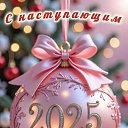  , -, 66  -  31  2024    