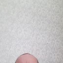 ���� �����, ������, 47 ��� - ��������� 17 ������� 2024 � ������ ���� ����������
