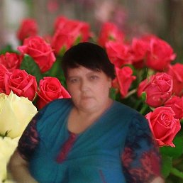 ��������, ���������, 51 ���