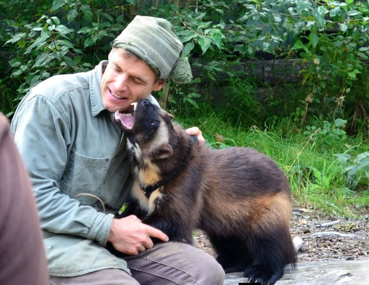 :) :  .       .   ,  ... - 3