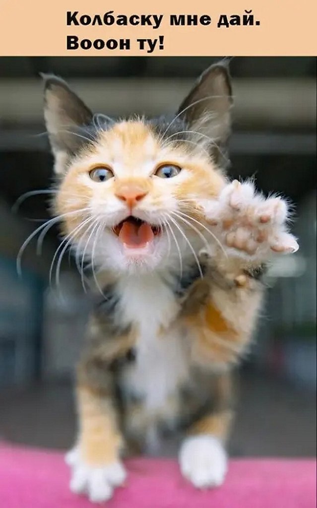 ☆ ☆ - 1  2025  16:12