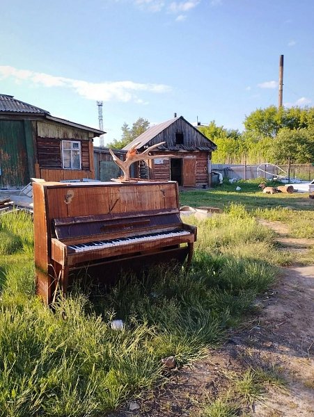 Доставайте свои фотки.В Шедевруме можно стилизовать их под старое аниме, ретро мульт или придумать ...