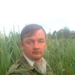 , 50 , 