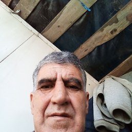  , , 54  -  5  2025