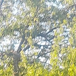 ������, �������, 62 ����