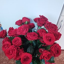 �������, ����