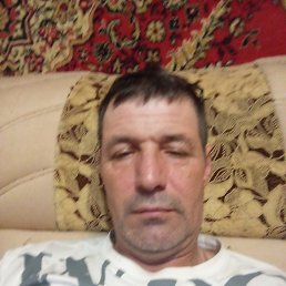 , 48, 