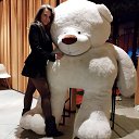 ���� �������, ������, 41 ��� - ��������� 24 ������� 2024 � ������ ���� ����������