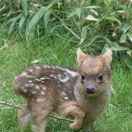 ����, ������, 20 ���