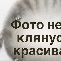 ����, �������