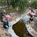 ���� �����, ������, 61 ��� - ��������� 15 ������ 2026 � ������ ���� ����������