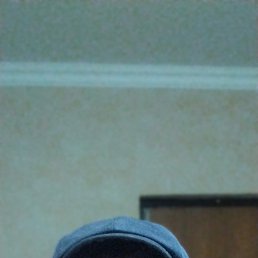 , 42, 