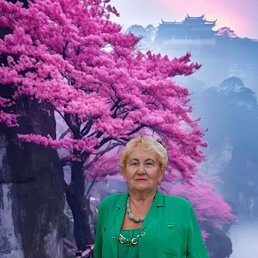 , 66, 