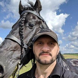 �������, ���������, 41 ���