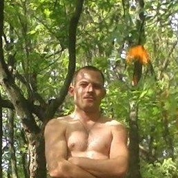 �����, ���������, 38 ���