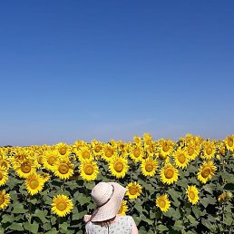 ������, ����, 30 ���