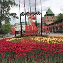  Alla,  , 55  -  23  2025    ,  2025