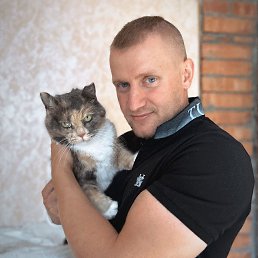 , 33, 