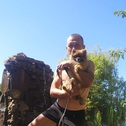 ����, �������, 48 ���