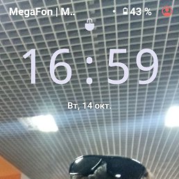 ����, 42 ����, ��������