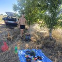 ���� ���������, ������������, 35 ��� - ��������� 1 �������� 2025 � ������ ���� ����������