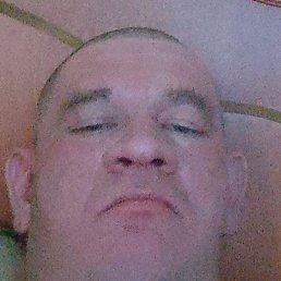 ������, �������, 38 ���