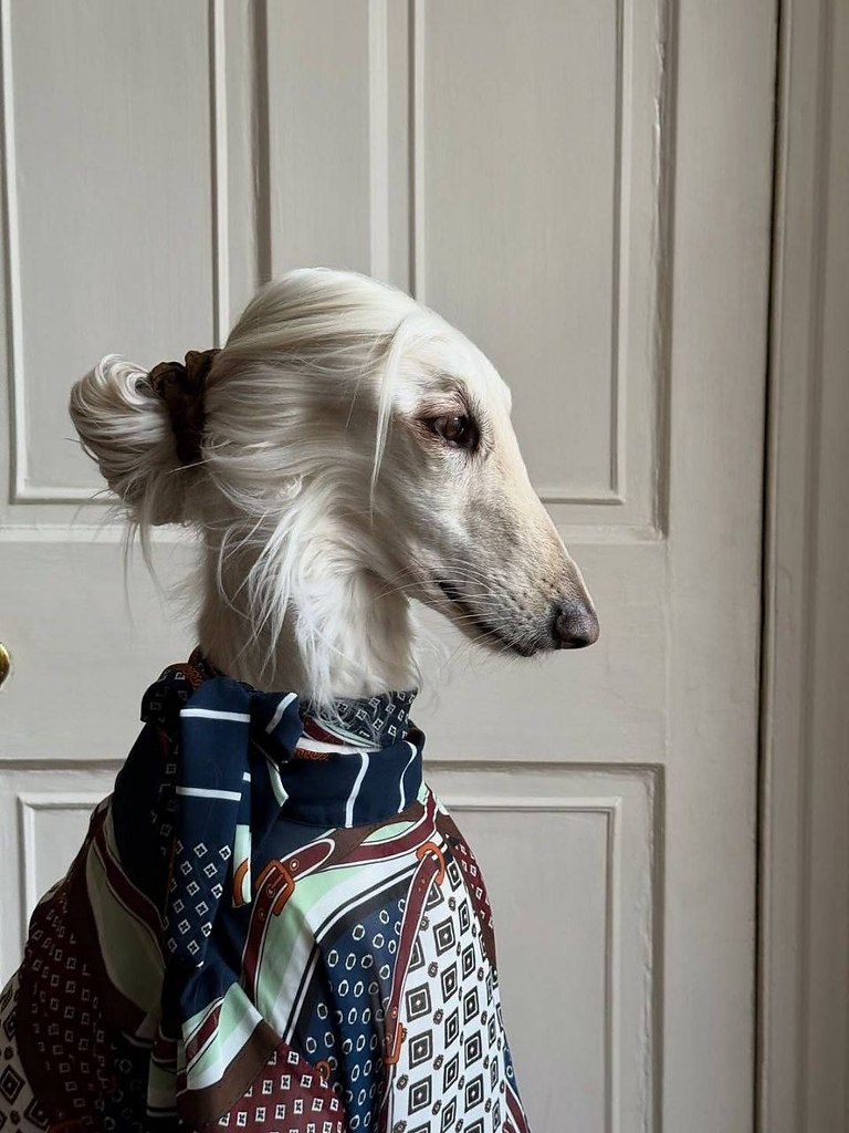  ,            .  ... - 3