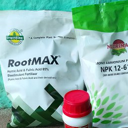 Nahi, �����������, 32 ����