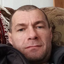 ���������, ������, 40 ���