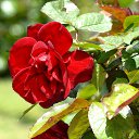 ���� Aleksandr, �����������, 64 ���� - ��������� 27 ���� 2025 � ������ ������ ��������