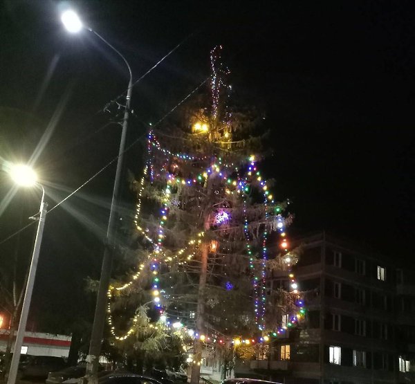 ���� ��� ������� ������ � �������� ������ ���� � �����������.